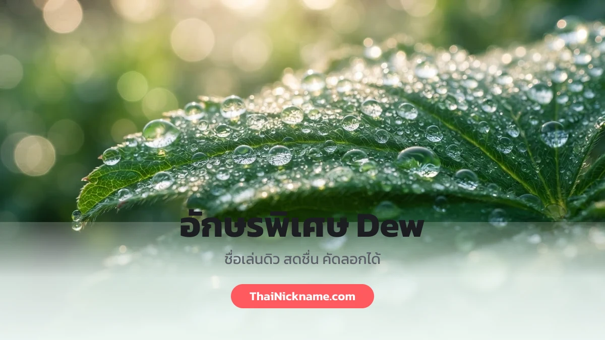 อักษรพิเศษ Dew ชื่อเล่นดิว