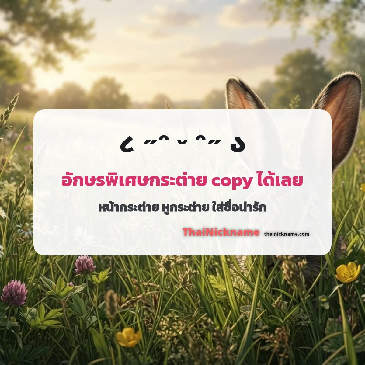 อักษรพิเศษน่ารักๆ กระต่าย ૮₍ ˶ᵔ ᵕ ᵔ˶ ₎ა คัดลอกได้