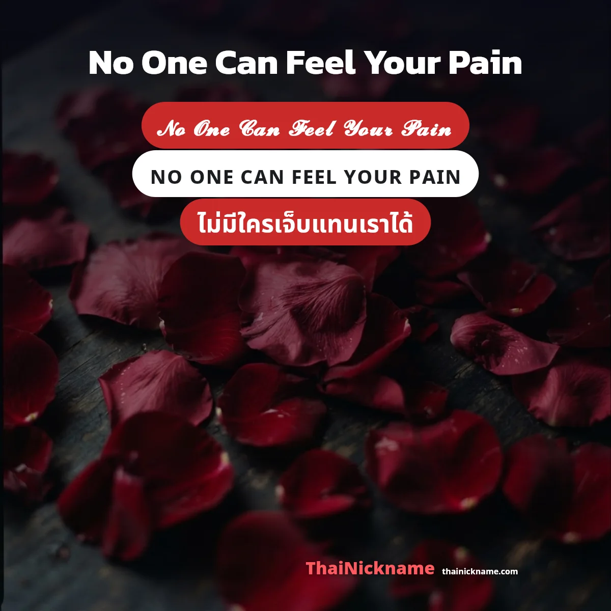 No One Can Feel Your Pain อักษรพิเศษ ฟอนต์สวยๆ