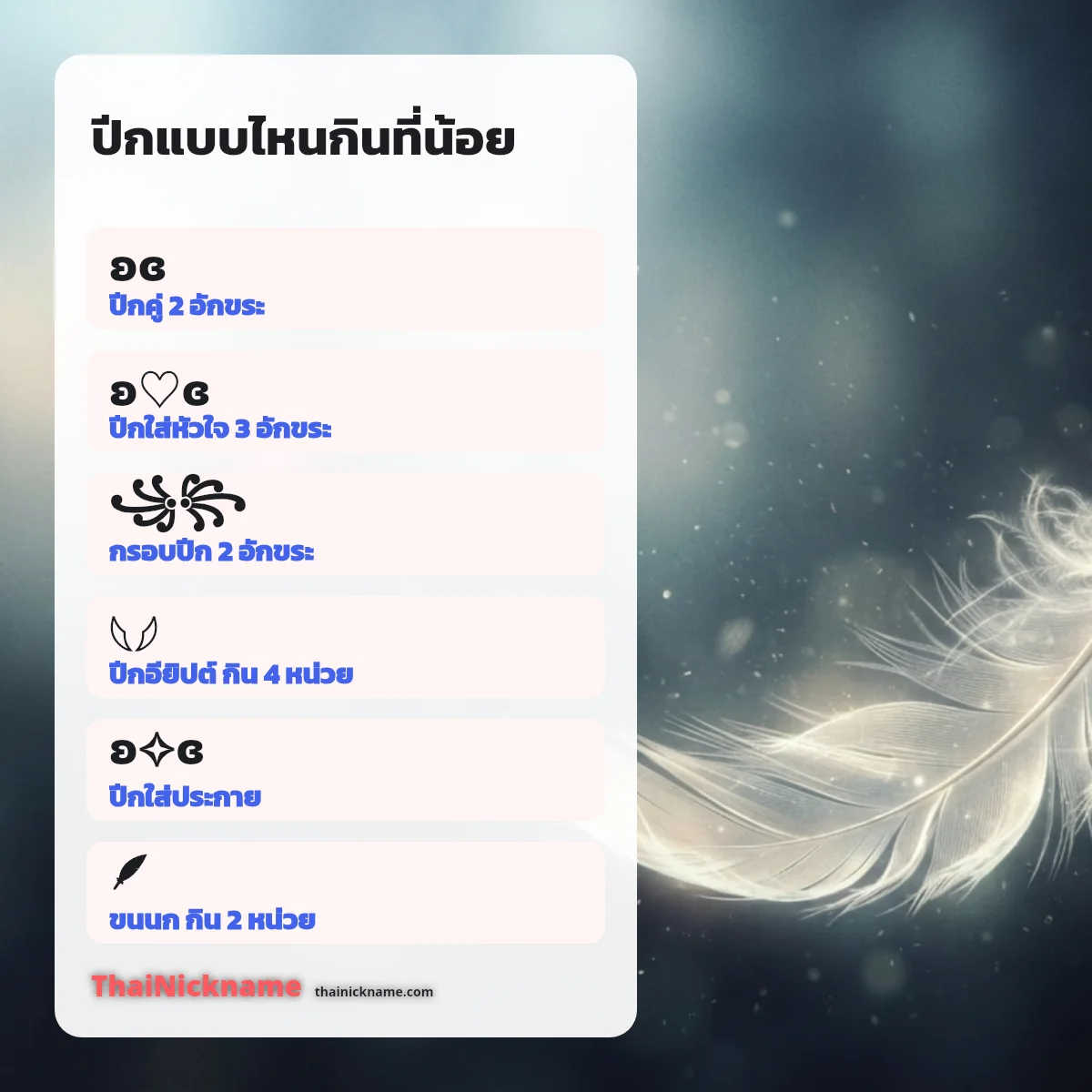 ปีกนกและปีกนางฟ้า อักษรพิเศษปีก